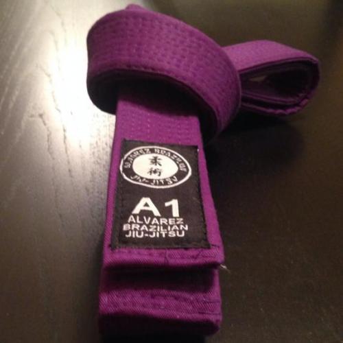 Purple belt · September 15, 2015 · Promoted by Danny Alvarez