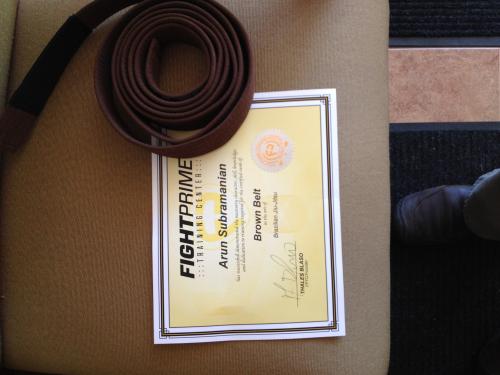 Brown belt · July 9, 2014 · Promoted by Thales Blaso