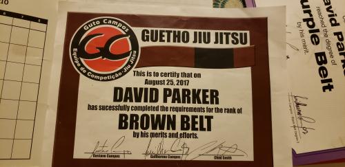 Brown belt · August 25, 2017 · Promoted by Guilhereme R Campos