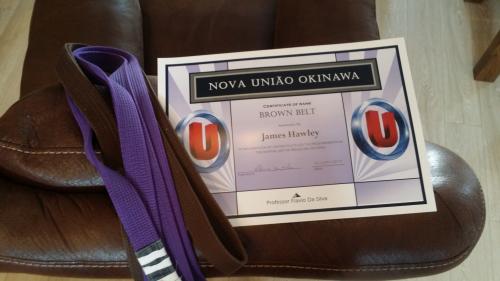 Brown belt · January 26, 2019 · Promoted by Flavio da silva