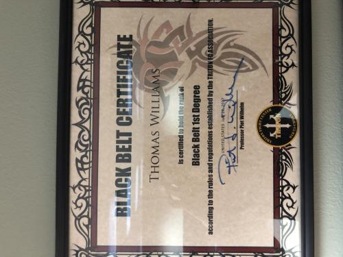 Black belt 1st degree · July 28, 2017 · Promoted by Piet Wilhelm
