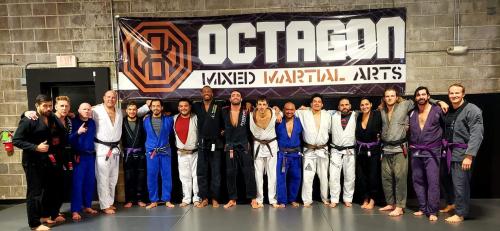 Brown belt · November 10, 2017 · Promoted by Octavio Couto