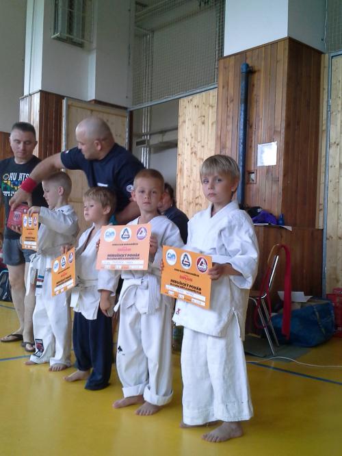 White belt · November 15, 2013