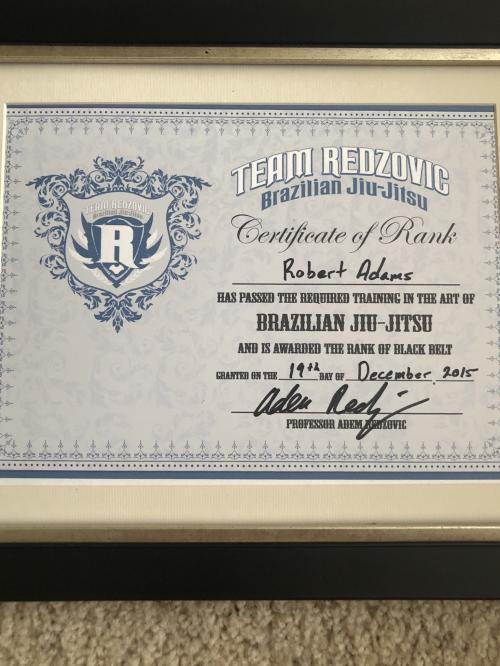 Black belt · December 19, 2015 · Promoted by Adem Redzovic