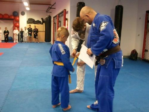 Yellow belt · May 24, 2015 · Promoted by Miloslav Bosák