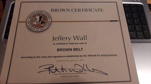 Brown belt · January 15, 2018 · Promoted by Piet Wilhelm