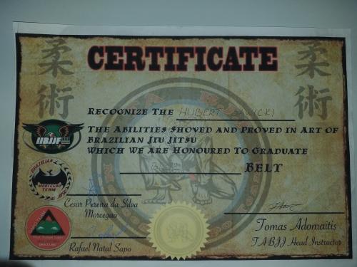Blue belt · May 5, 2013 · Promoted by Tomas Adomaitis