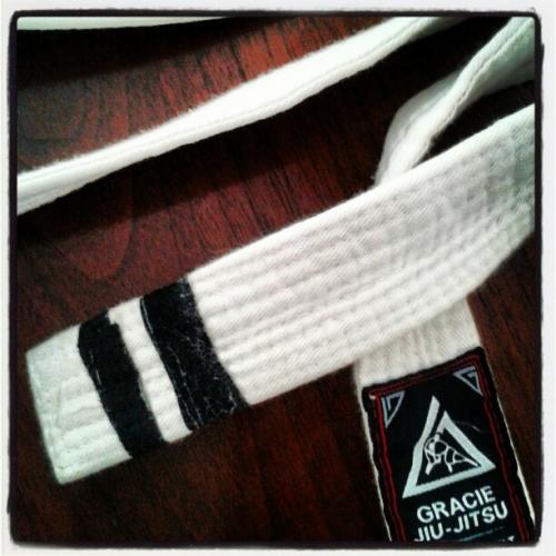 White belt · April 8, 2013