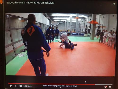 Blue belt · January 9, 2016 · Promoted by José Marcello Figueira Rodrigues, 5th degree Black Belt, Head of Icon Team