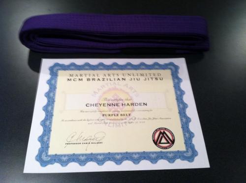 Purple belt · December 19, 2013 · Promoted by Christian Malgeri - Under Marcello Monteiro