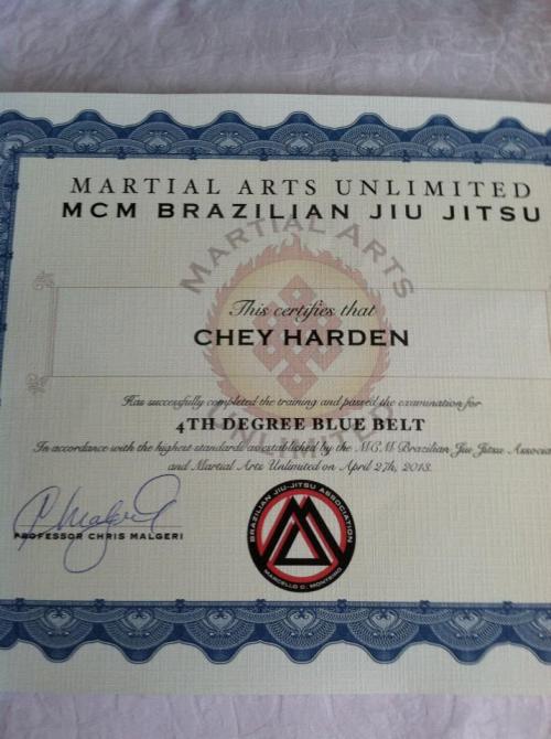 Blue belt · April 27, 2013 · Promoted by Christian Malgeri - Under Marcello Monteiro