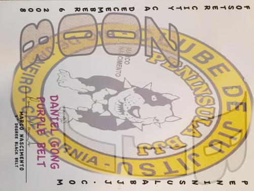 Purple belt · December 6, 2008 · Promoted by Marco Nascimento