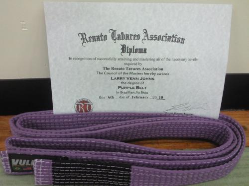 Purple belt · February 6, 2010 · Promoted by Renato Tavares