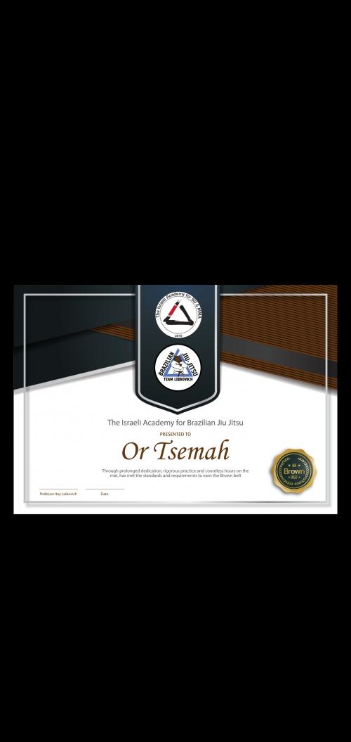 Brown belt · September 21, 2018 · Promoted by Itay Leibovich