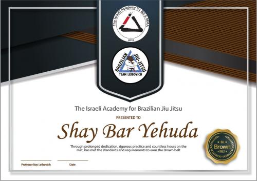 Brown belt · September 21, 2018 · Promoted by Itay Leibovich