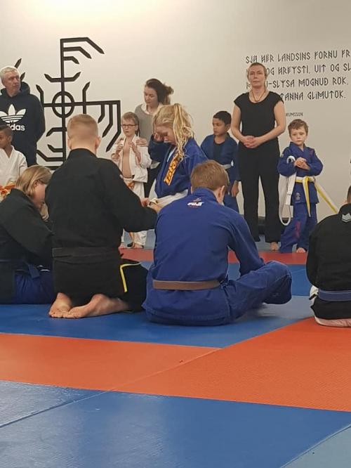 Yellow belt · December 21, 2019 · Promoted by Halldór Logi
