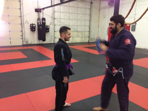 Purple belt · November 19, 2013 · Promoted by James Foster