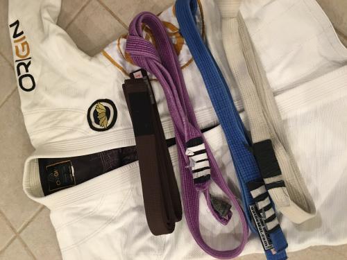 Brown belt · December 15, 2016 · Promoted by James Foster