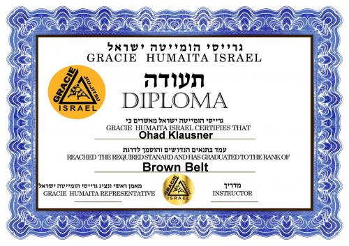 Brown belt · September 8, 2017 · Promoted by Itay Leibovich