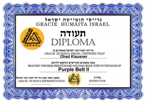 Purple belt · August 4, 2014 · Promoted by Itay Leibovich