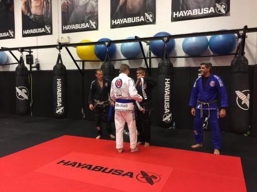 Blue belt · November 25, 2017 · Promoted by Wendell Alexander Cavalcante
