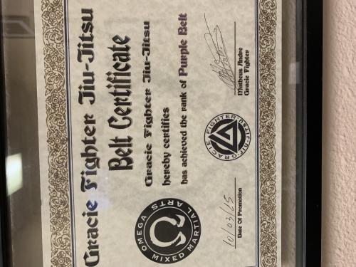 Purple belt · October 3, 2015 · Promoted by Matheus Andrea