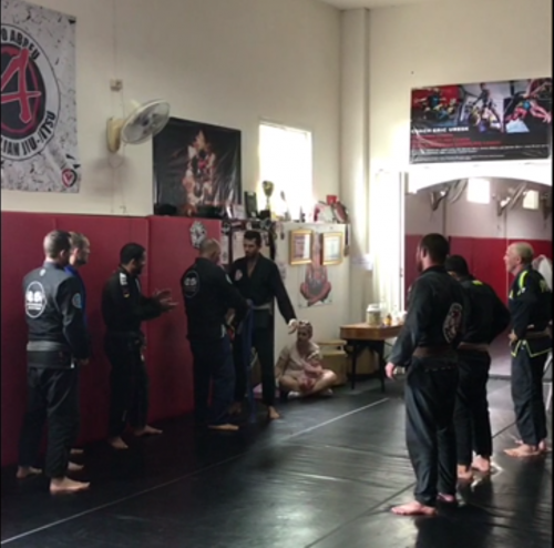 Blue belt · December 1, 2017 · Promoted by Prof. Olavo Abreu