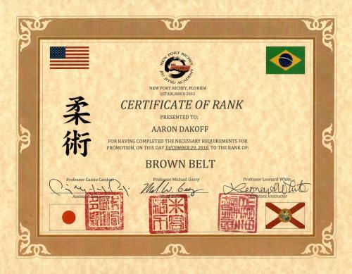 Brown belt · December 29, 2018 · Promoted by Michael Geery