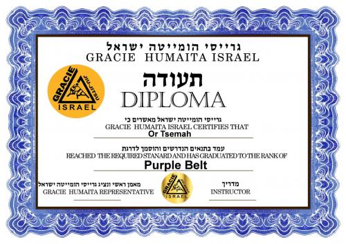 Purple belt · August 1, 2015 · Promoted by Itay Leibovich