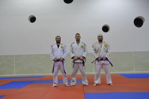 Purple belt · August 1, 2014 · Promoted by Itay Leibovich