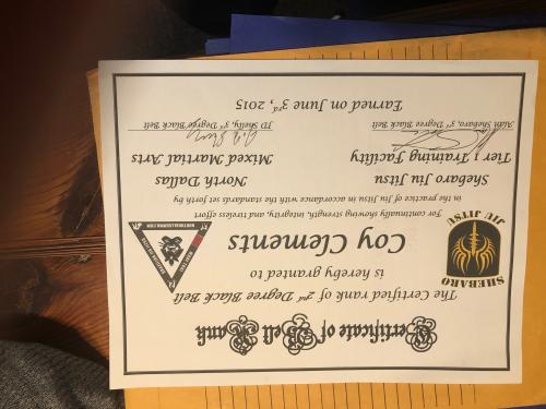 Black belt 1st degree · May 12, 2015 · Promoted by Alan Shebaro