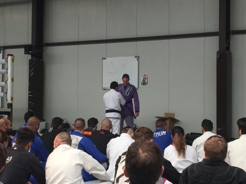 Blue belt · May 21, 2016 · Promoted by Renan Funerio