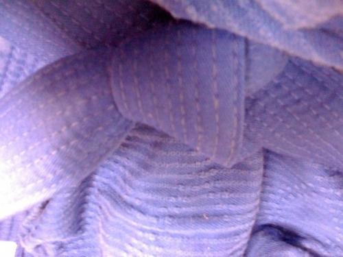 Blue belt · July 4, 2009 · Promoted by Cesar Lima