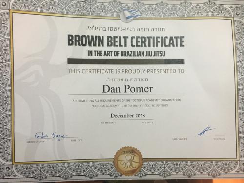 Brown belt · December 27, 2018 · Promoted by Gidon Zagher