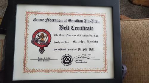 Purple belt · July 8, 2016 · Promoted by Matheus Andre