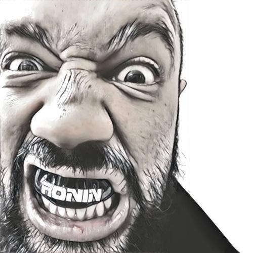 Mr Ronin
