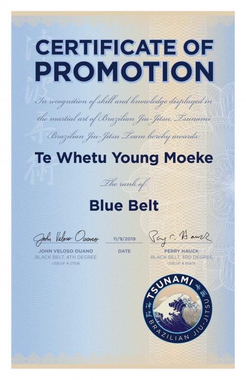 Blue belt · November 9, 2019 · Promoted by John Ouano