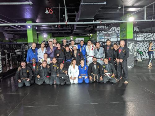 Brown belt · December 28, 2018 · Promoted by Pedro Duarte