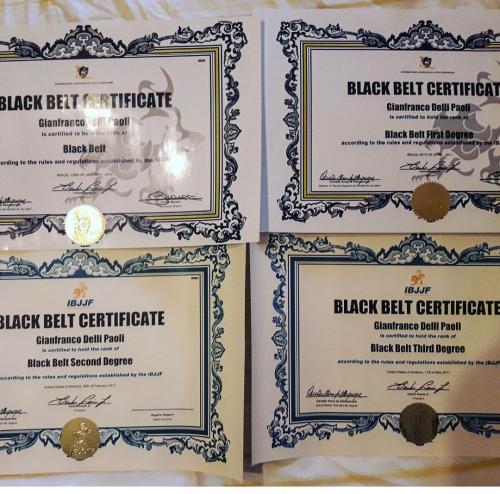 Black belt 2nd degree · June 7, 2013 · Promoted by Rogerio Olegario