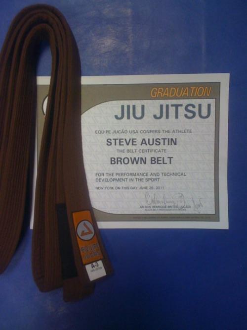 Brown belt · June 10, 2011 · Promoted by Alison Jucua Brites