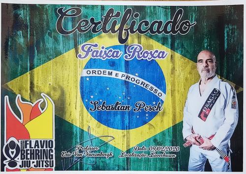 Purple belt · February 9, 2020 · Promoted by Stephan Van Wichelen
