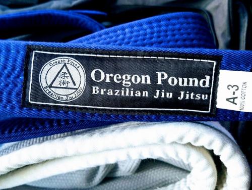 Blue belt · March 19, 2017 · Promoted by Michael Downing