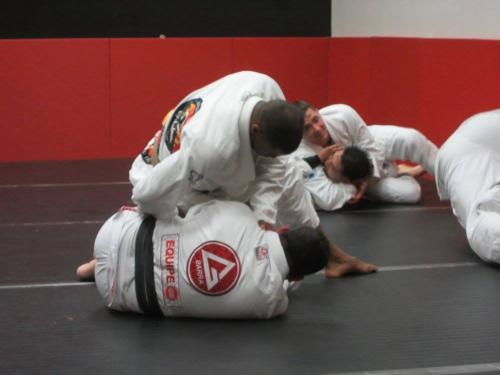 Brown belt · March 11, 2014 · Promoted by Professor Brian Davis 3rd Degree Black Belt