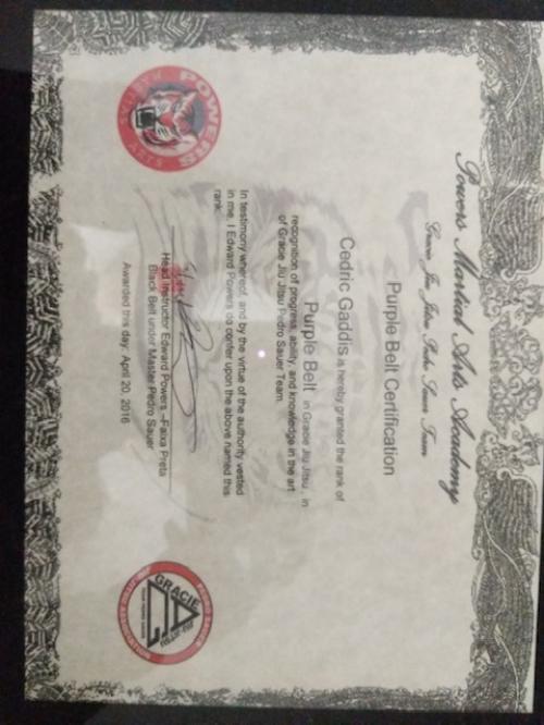 Purple belt · April 20, 2016 · Promoted by Ed Powers