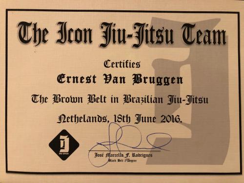 Brown belt · June 18, 2016 · Promoted by Jose Marcello