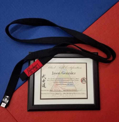 Black belt · October 10, 2018 · Promoted by Pedro Sauer