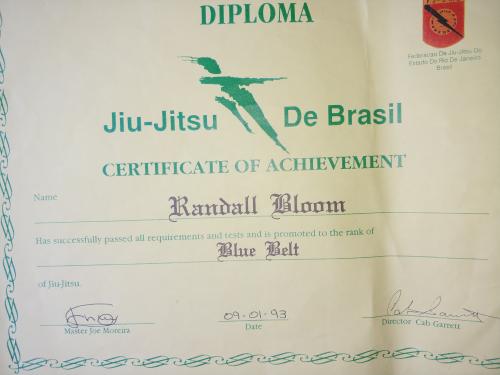 Blue belt · September 1, 1992 · Promoted by Joe Moreira