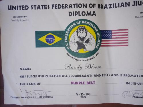 Purple belt · September 15, 1996 · Promoted by Joe Moreira