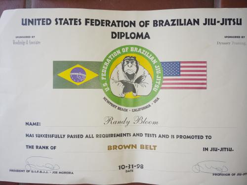 Brown belt · October 31, 1998 · Promoted by Joe Moreira