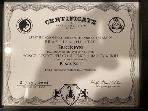 Black belt · February 15, 2014 · Promoted by Brian McPhesron